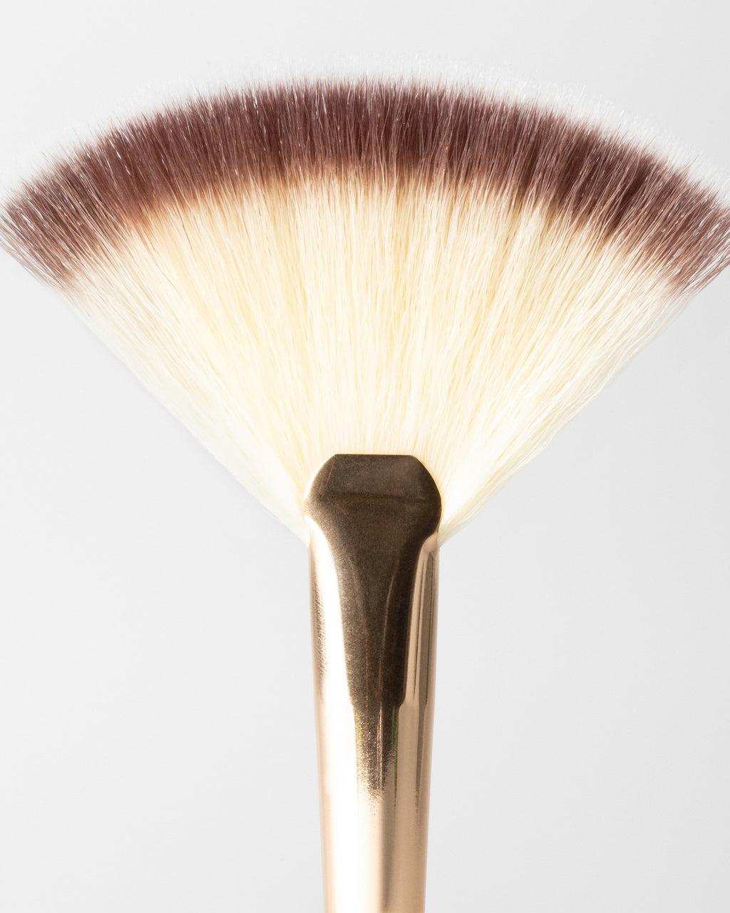 fan makeup brush